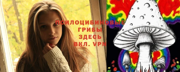 а пвп мука Абаза